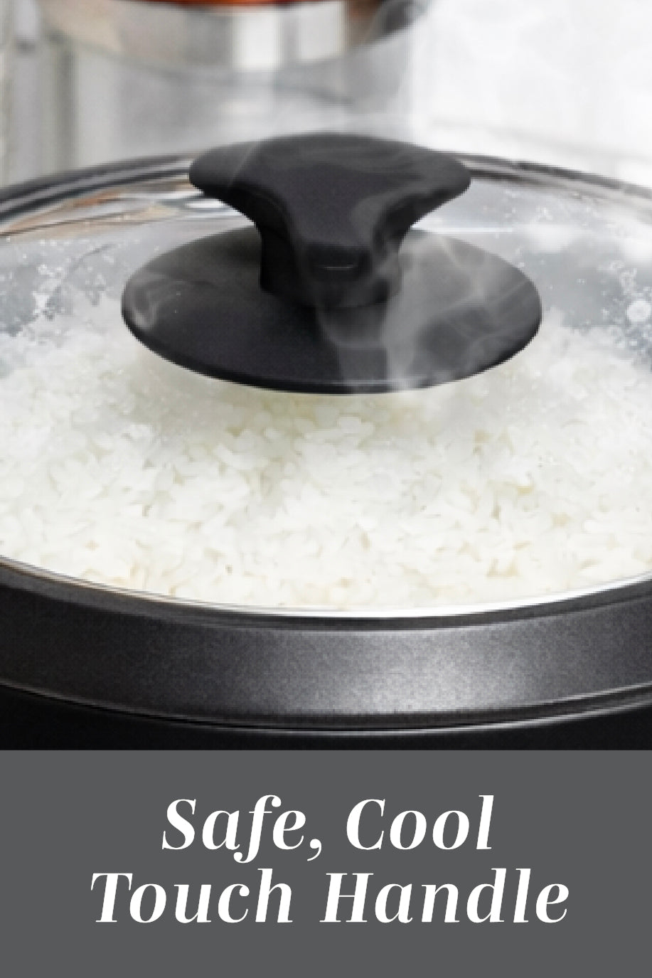 6 CupRice Cooker