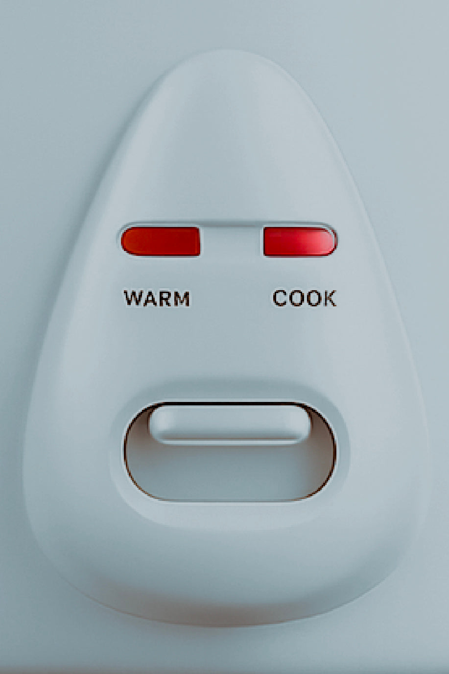 6 CupRice Cooker