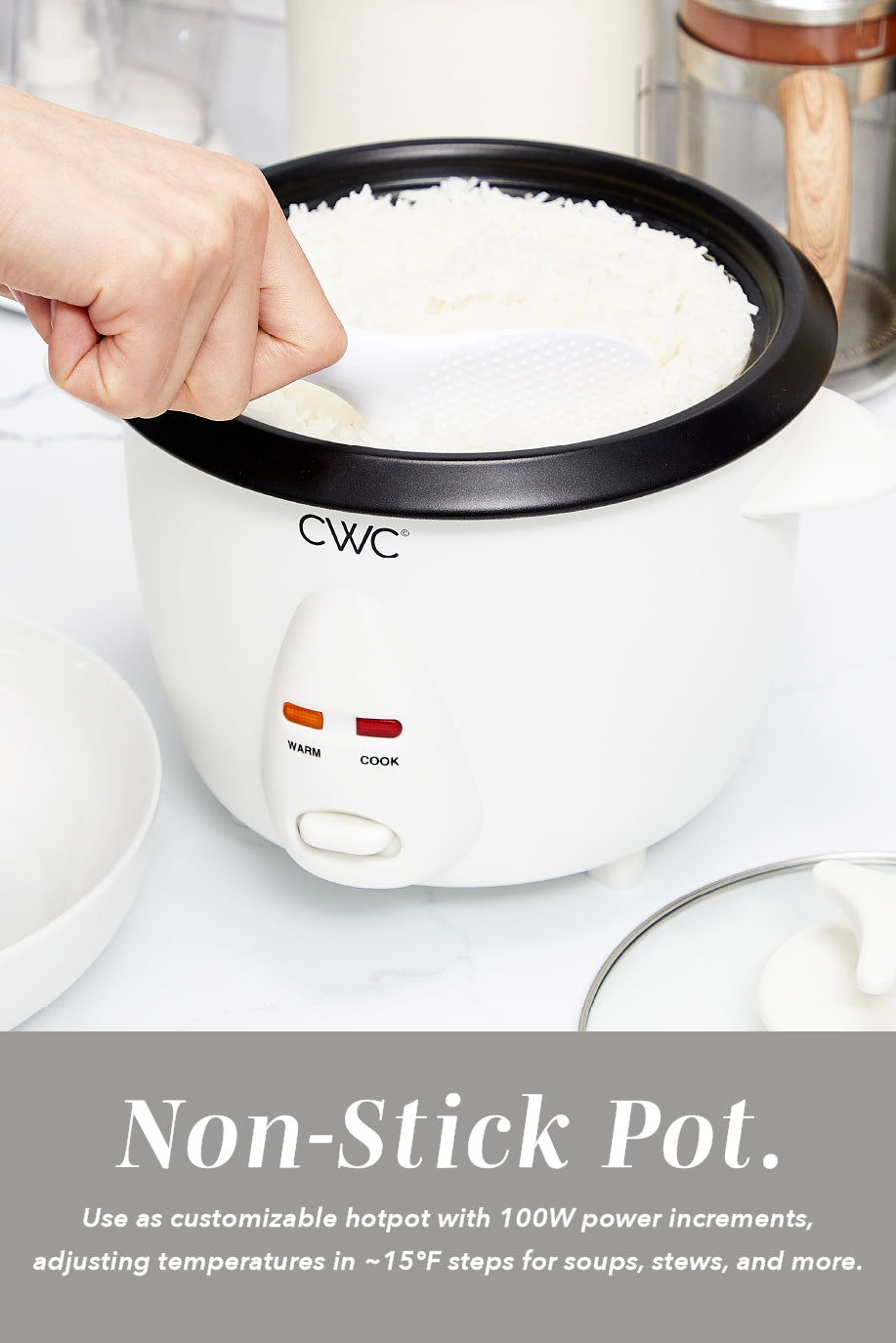 6 CupRice Cooker
