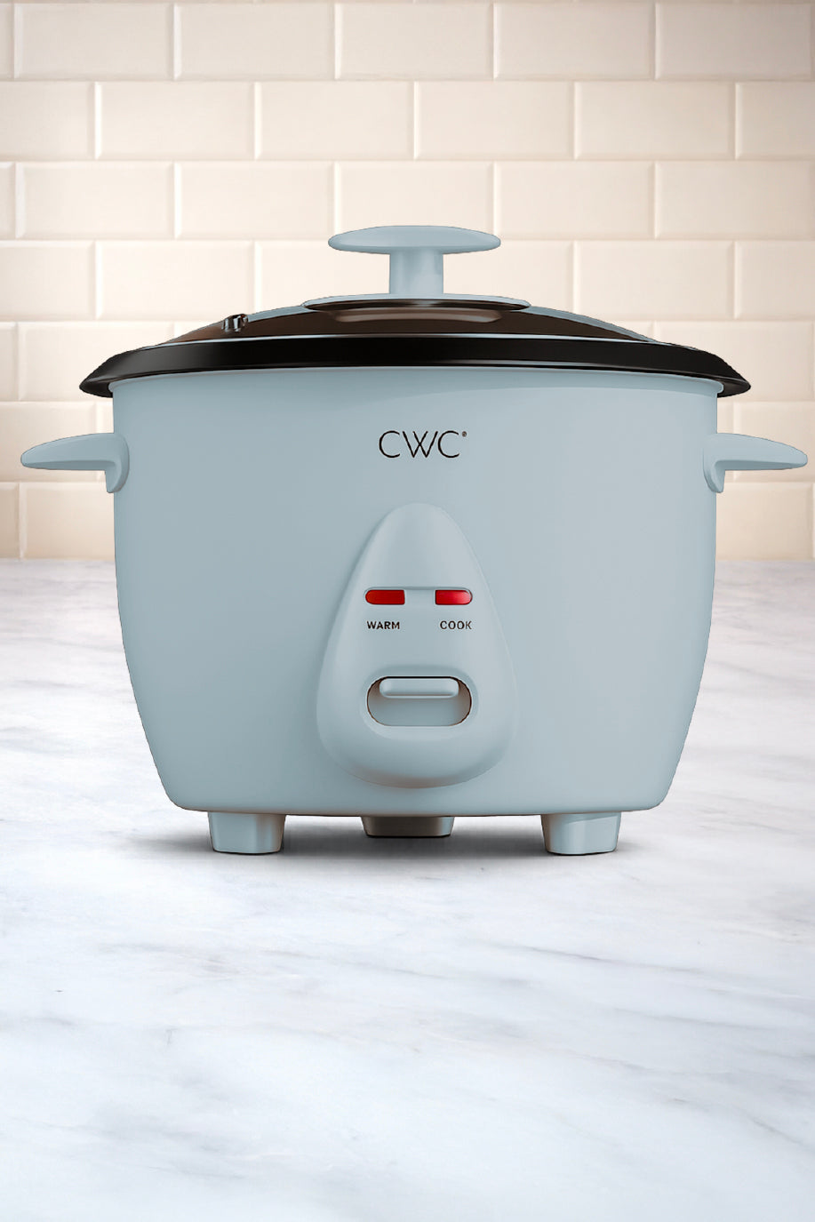 6 CupRice Cooker