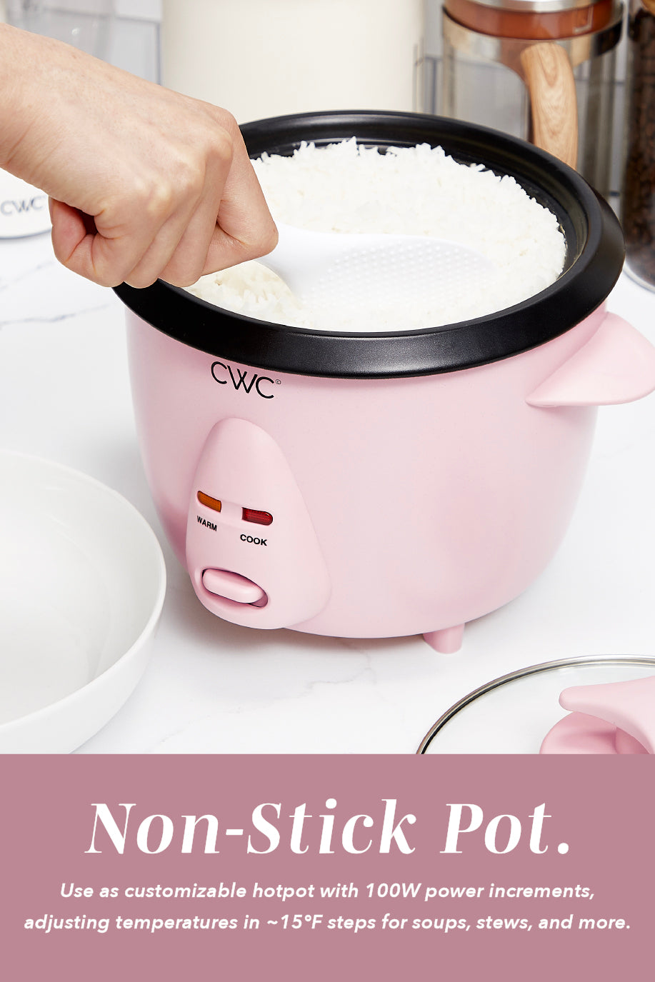 6 CupRice Cooker