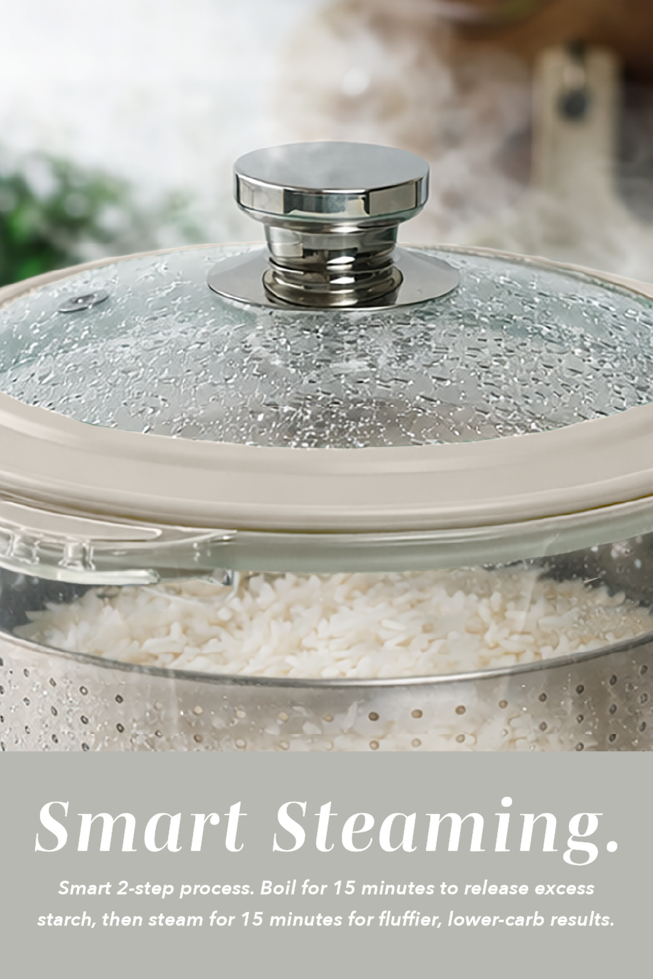 Mini Glass Rice Cooker