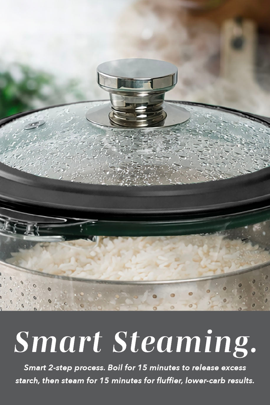 Mini GlassRice Cooker