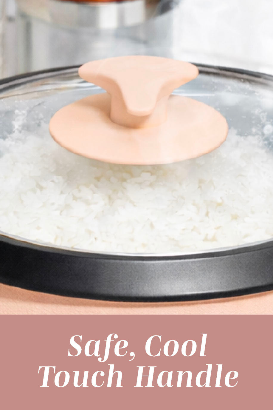 6 CupRice Cooker