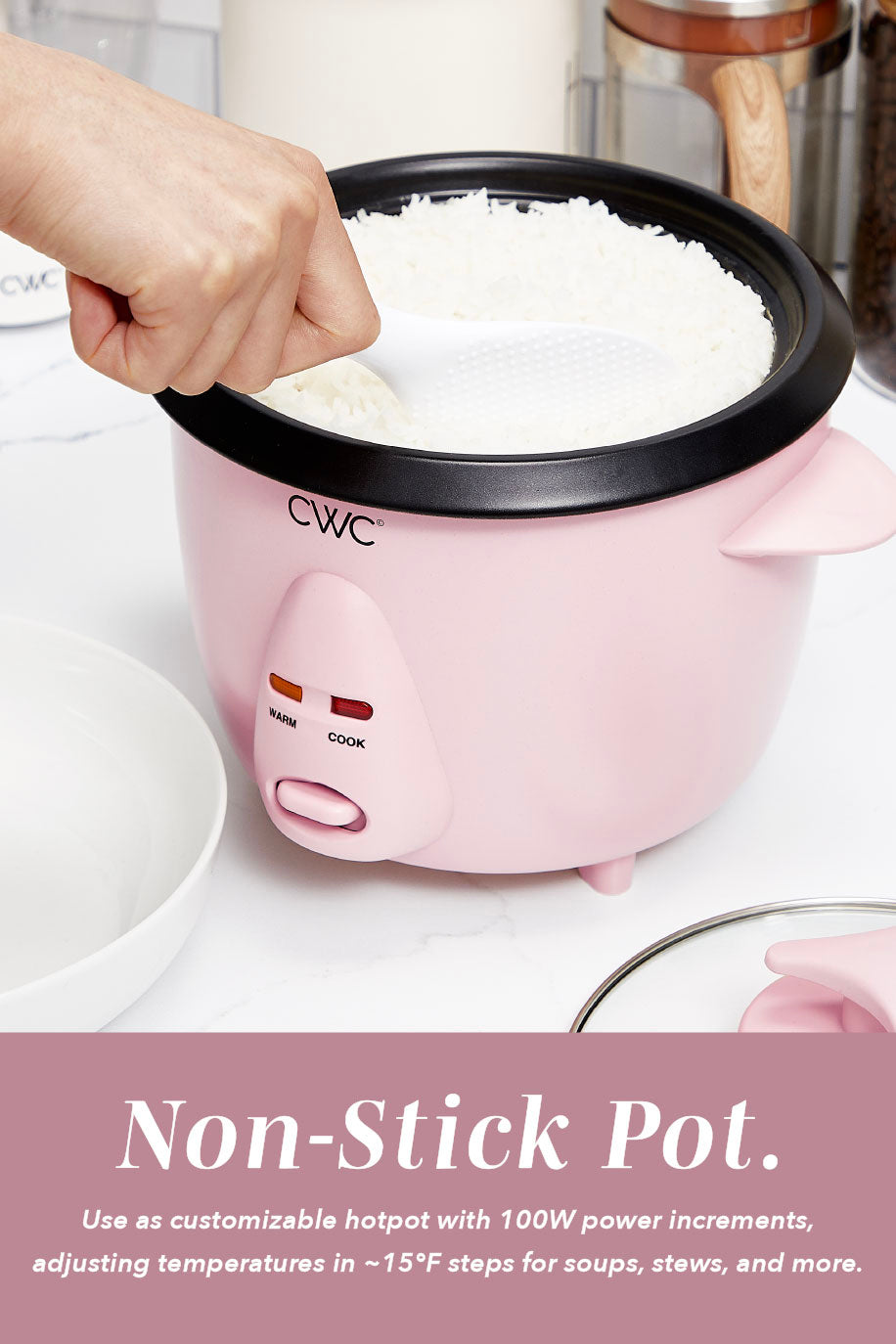 6 CupRice Cooker