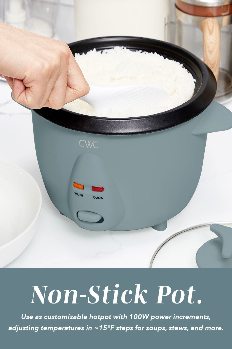 6 CupRice Cooker