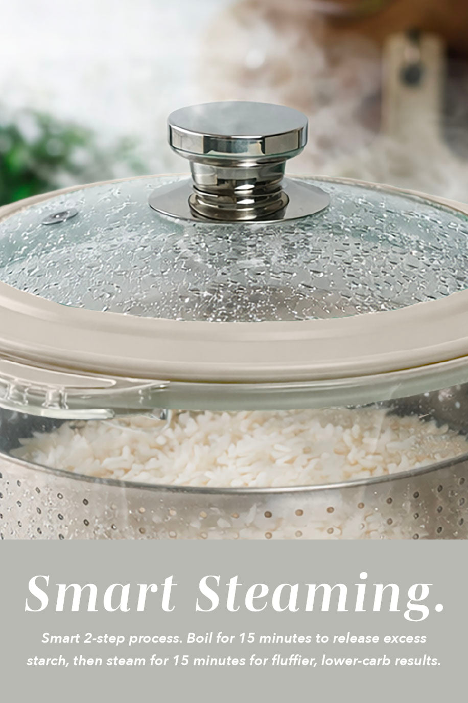 Mini GlassRice Cooker