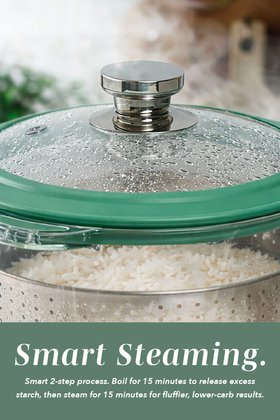 Mini GlassRice Cooker