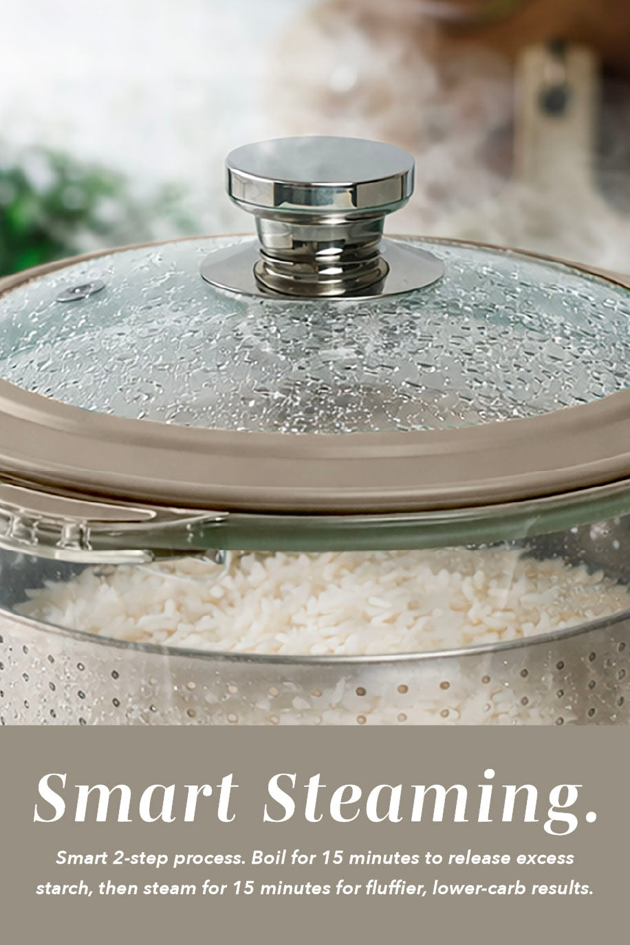Mini GlassRice Cooker