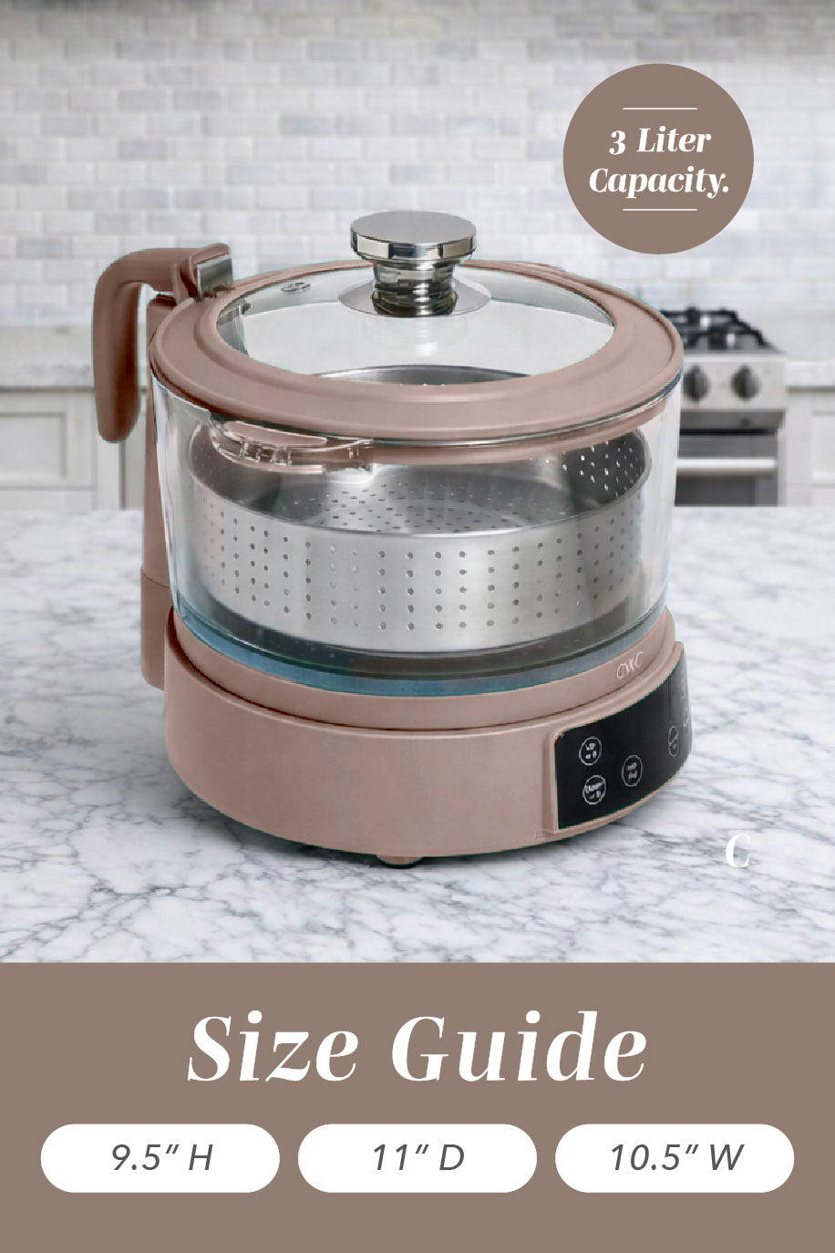 Mini GlassRice Cooker