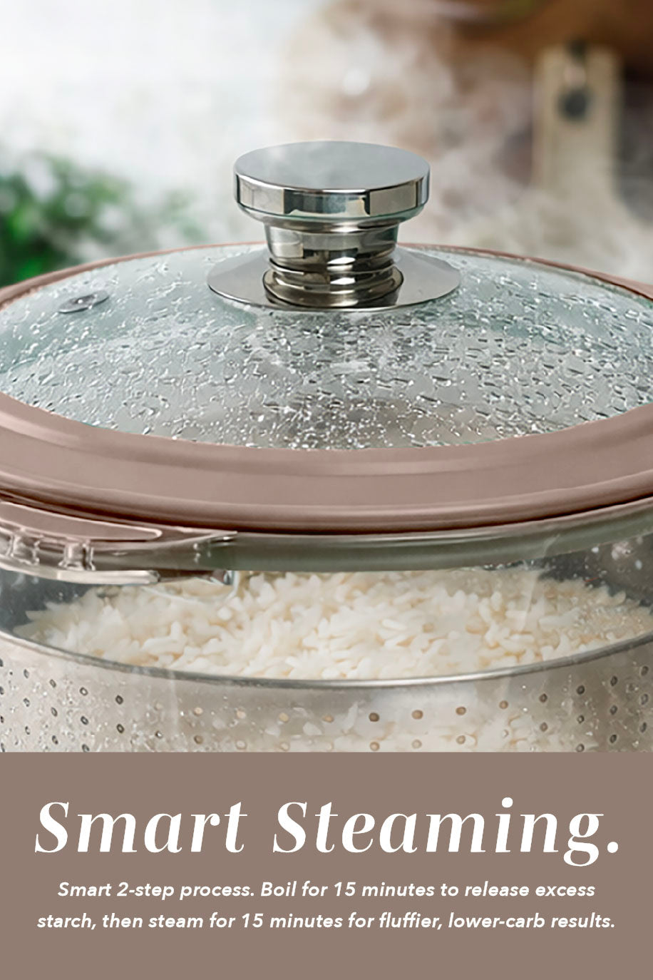 Mini GlassRice Cooker