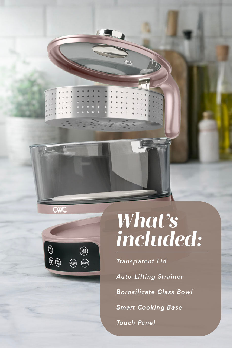 Mini GlassRice Cooker