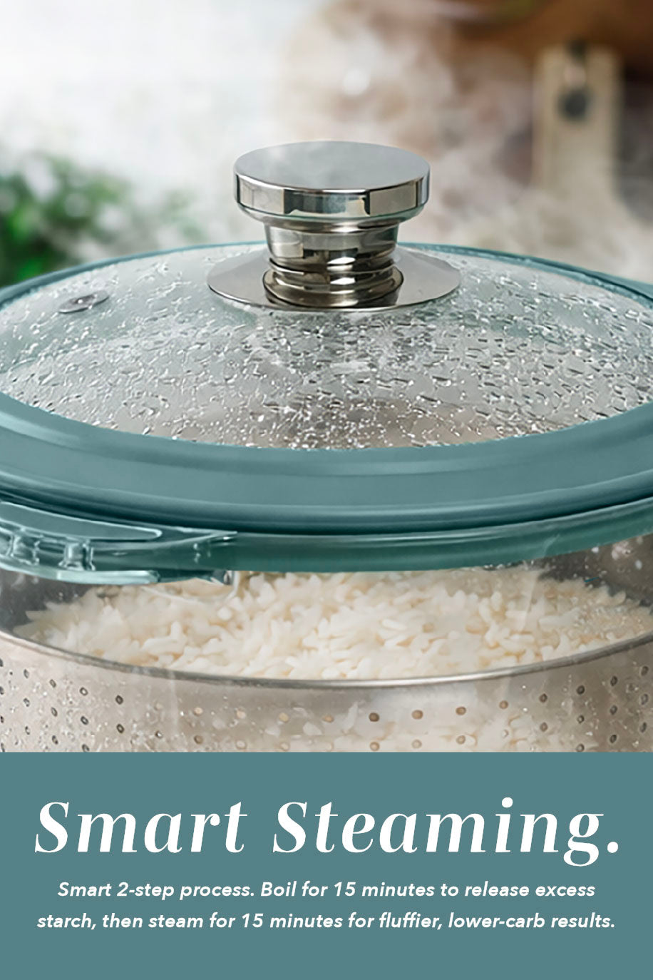 Mini GlassRice Cooker